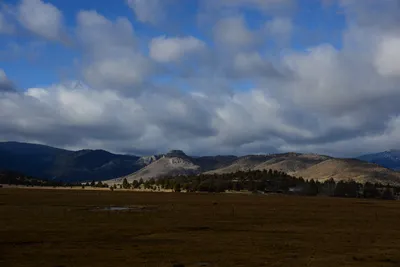 DSC_2896 (Large).JPG